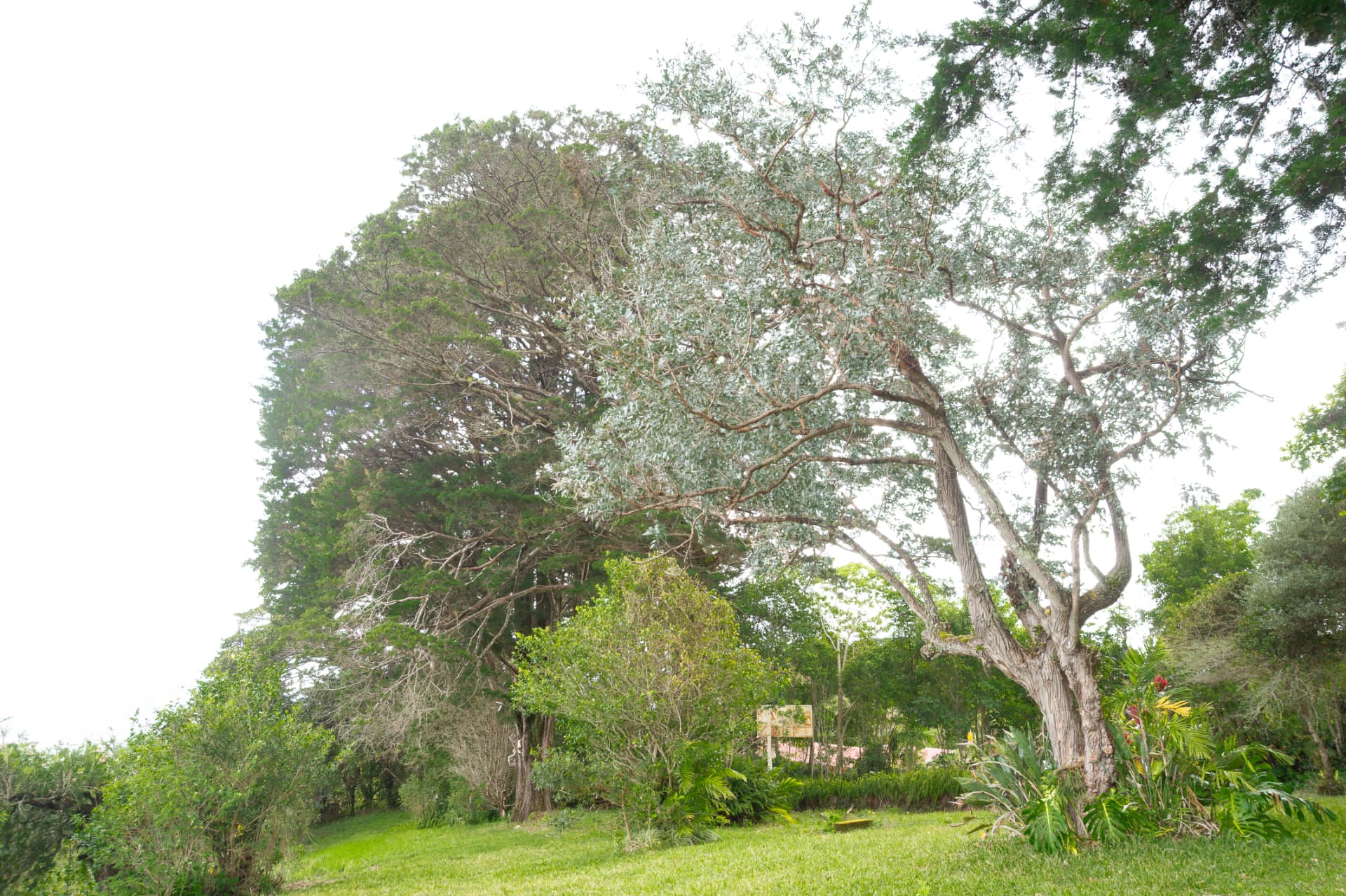 Amplia propiedad en Santo Domingo de Santa Bárbara de Heredia 7