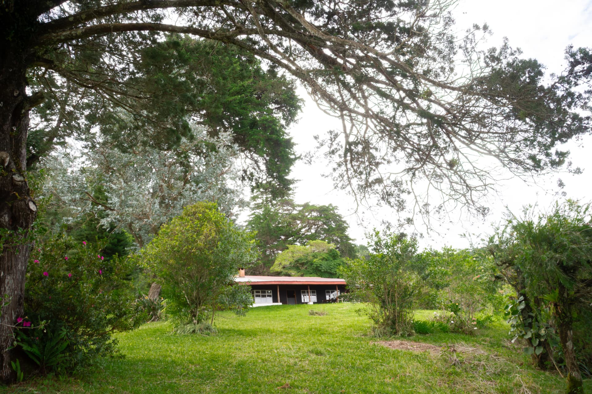 Amplia propiedad en Santo Domingo de Santa Bárbara de Heredia