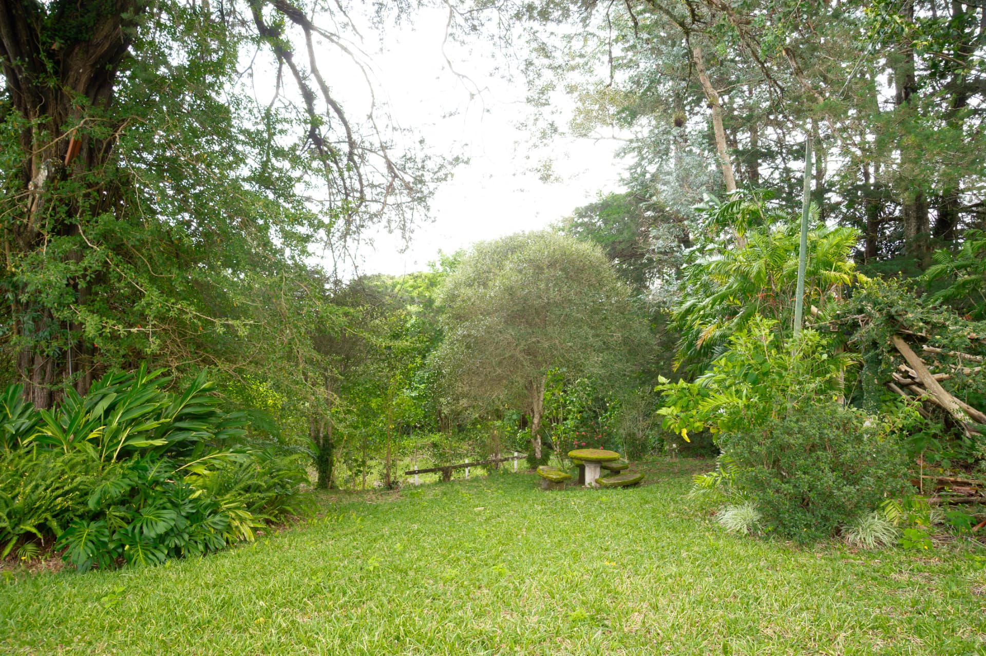 Amplia propiedad en Santo Domingo de Santa Bárbara de Heredia 9