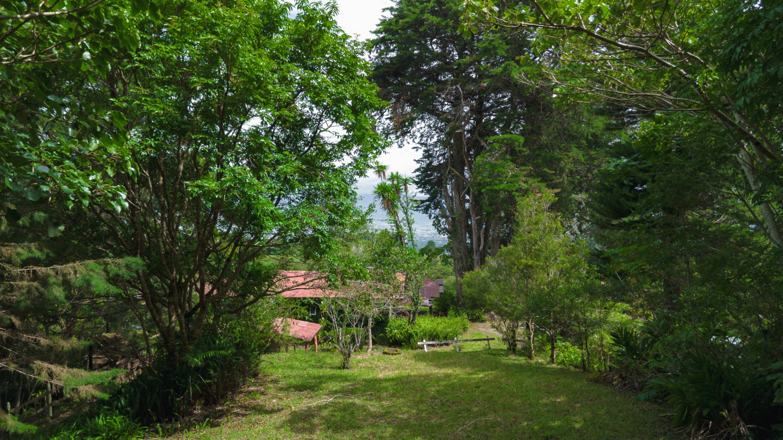 Amplia propiedad en Santo Domingo de Santa Bárbara de Heredia 3